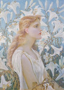 Lilies, 1893